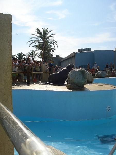 2008-08-08_Marineland(11).JPG