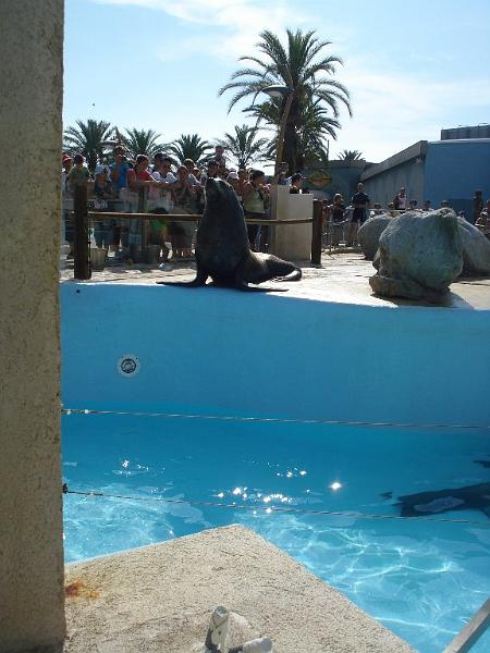 2008-08-08_Marineland(12).JPG