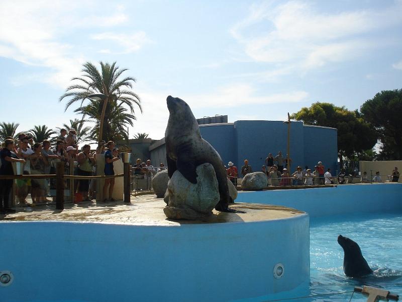 2008-08-08_Marineland(13).JPG