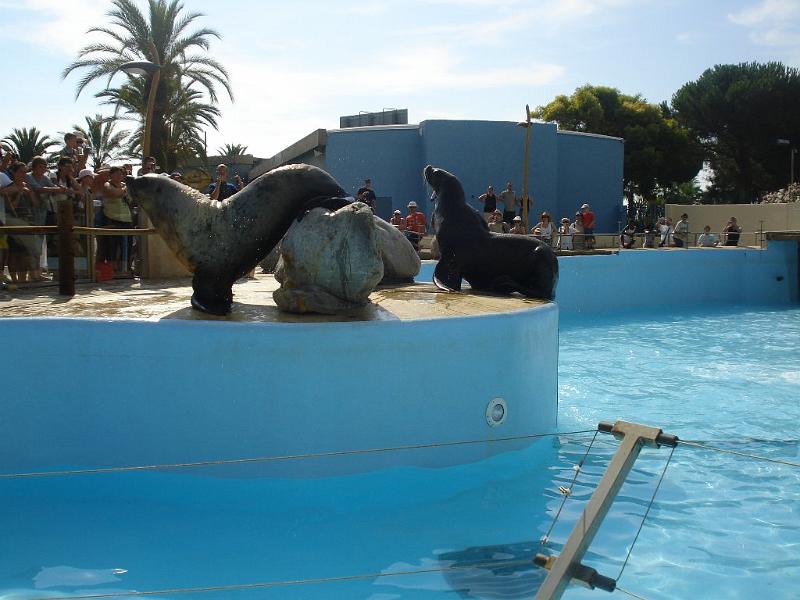 2008-08-08_Marineland(14).JPG