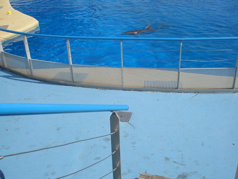 2008-08-08_Marineland(24).JPG