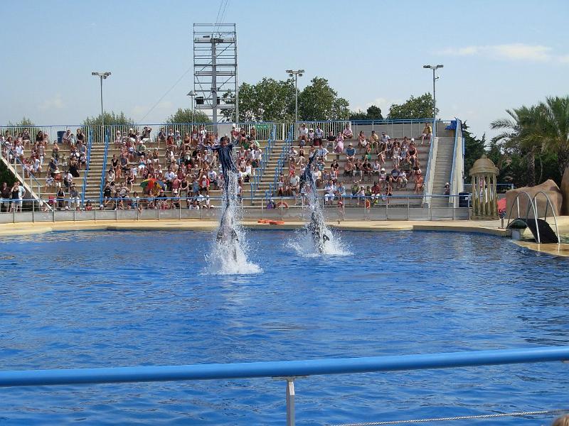2008-08-08_Marineland(29).JPG