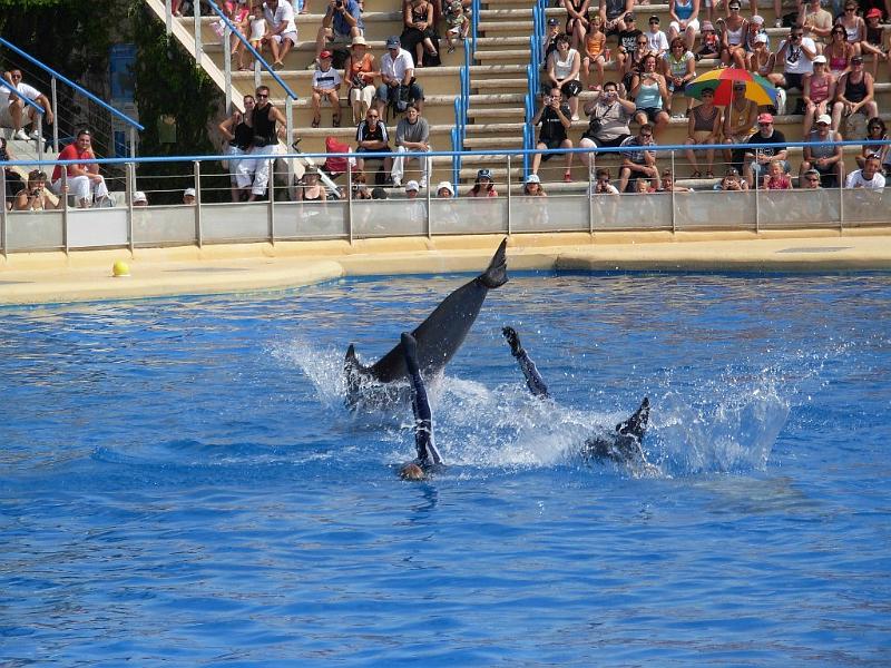 2008-08-08_Marineland(36).JPG