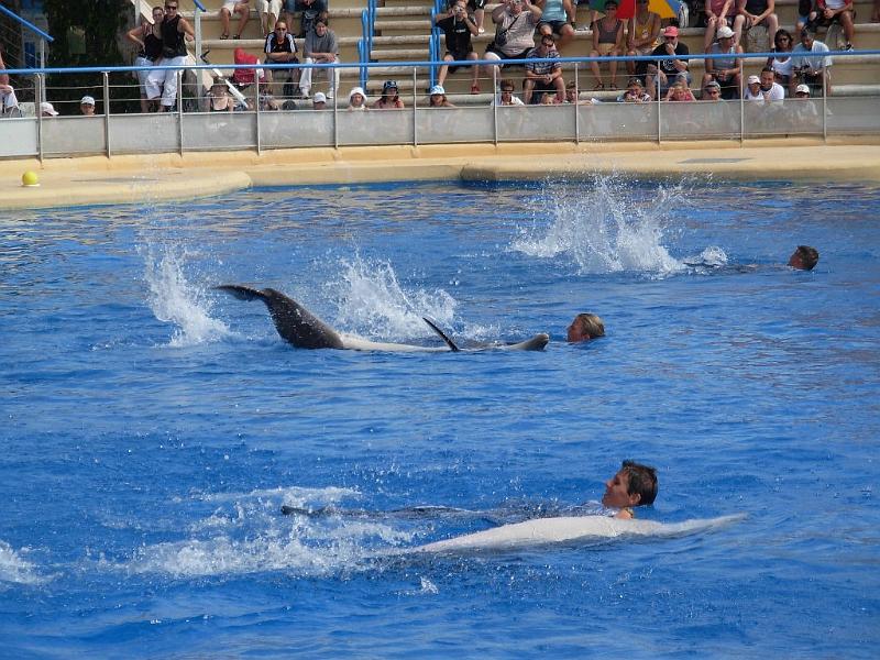 2008-08-08_Marineland(37).JPG