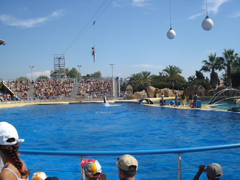 2008-08-08_Marineland(41).JPG