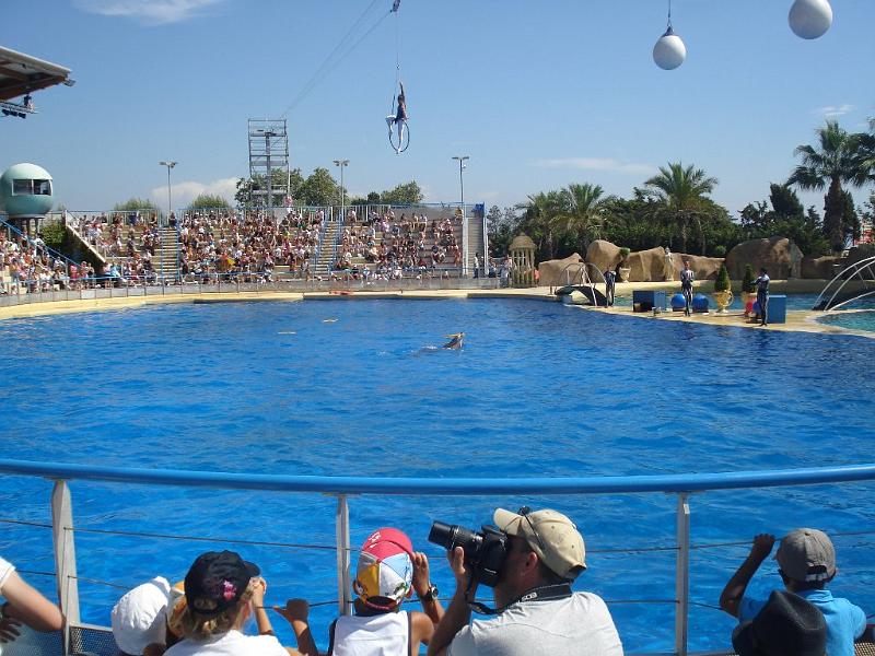 2008-08-08_Marineland(42).JPG