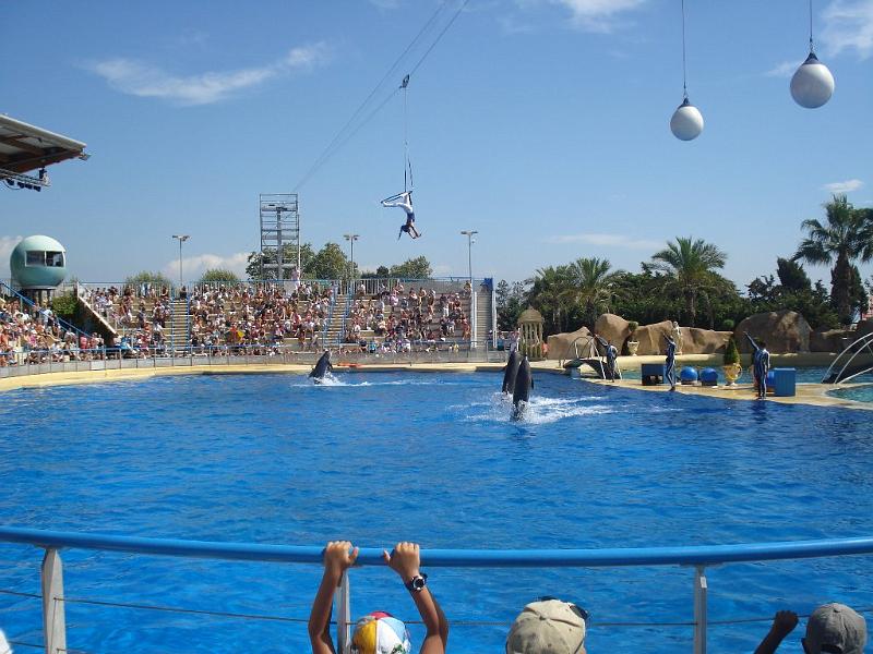 2008-08-08_Marineland(43).JPG