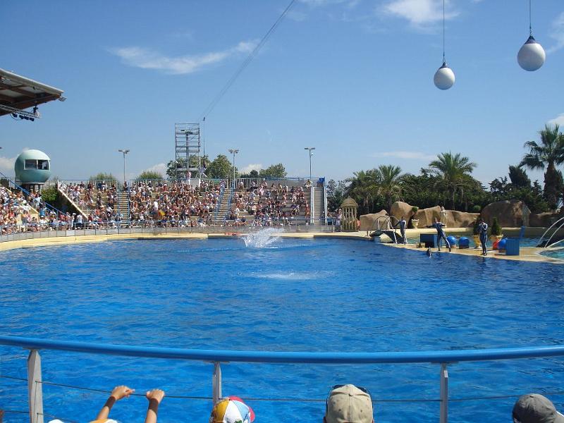 2008-08-08_Marineland(44).JPG