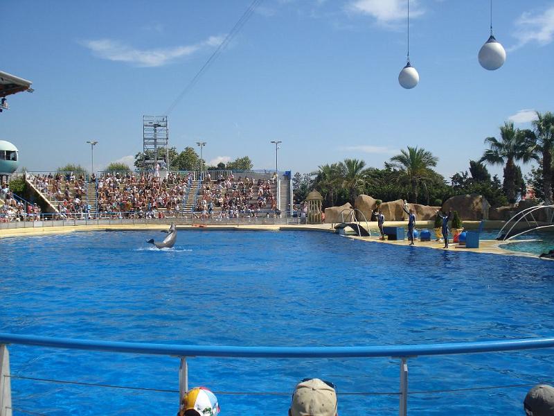 2008-08-08_Marineland(45).JPG