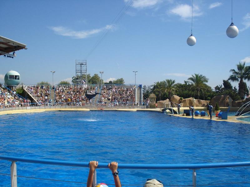 2008-08-08_Marineland(46).JPG