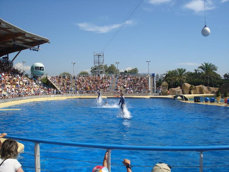 2008-08-08_Marineland(48).JPG