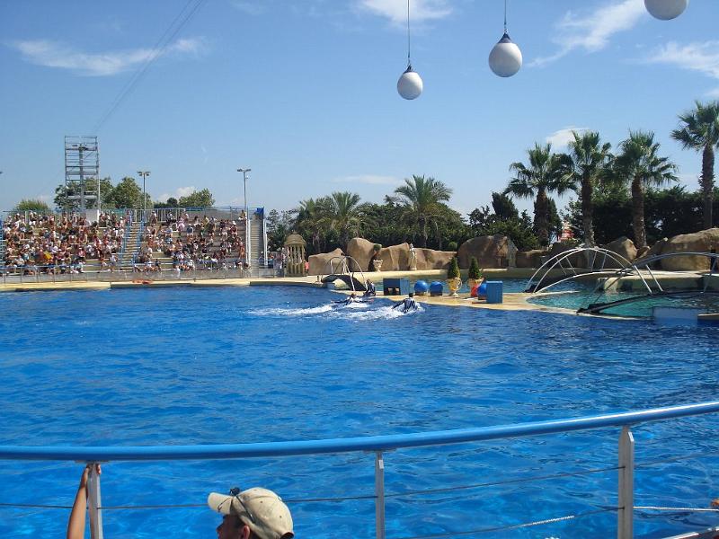 2008-08-08_Marineland(49).JPG