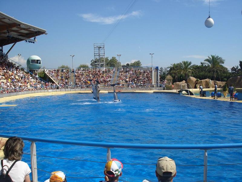 2008-08-08_Marineland(50).JPG