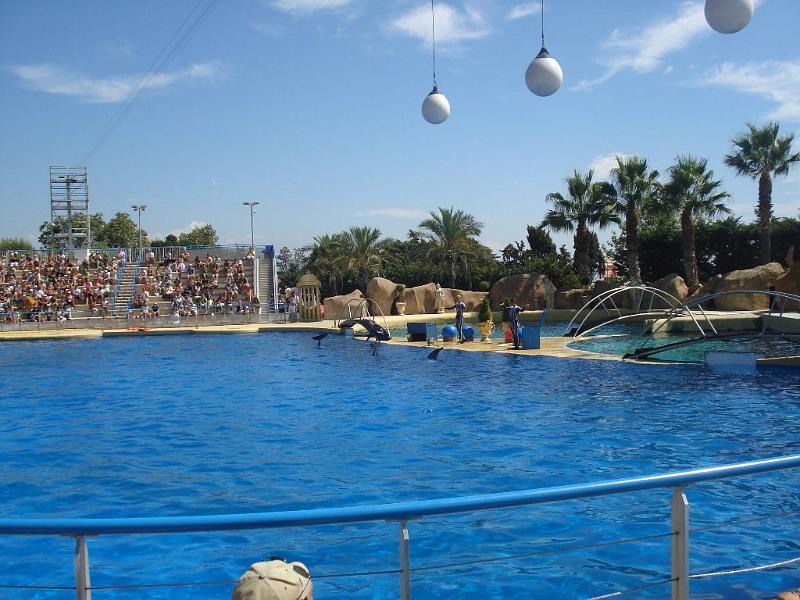 2008-08-08_Marineland(51).JPG