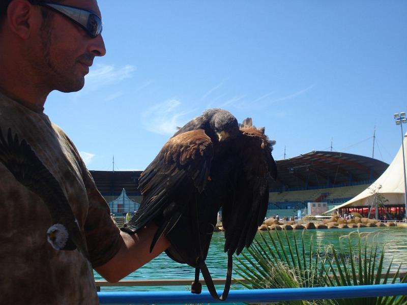 2008-08-08_Marineland(58).JPG