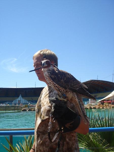 2008-08-08_Marineland(59).JPG