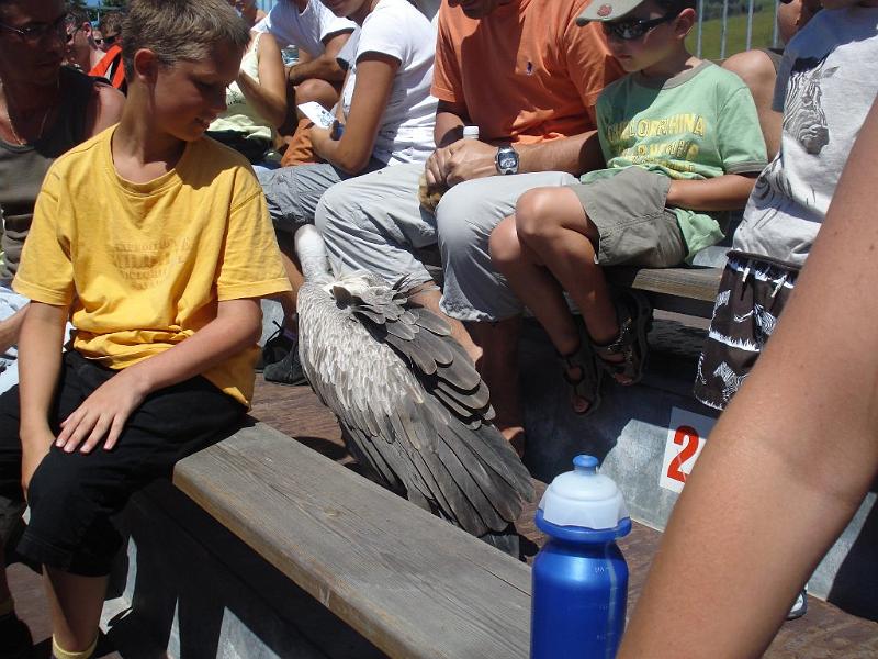 2008-08-08_Marineland(62).JPG