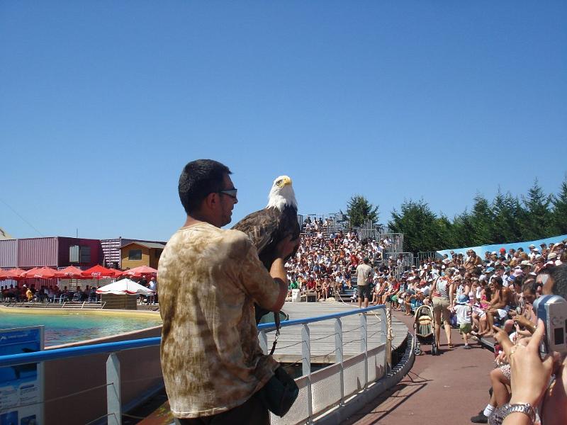 2008-08-08_Marineland(64).JPG