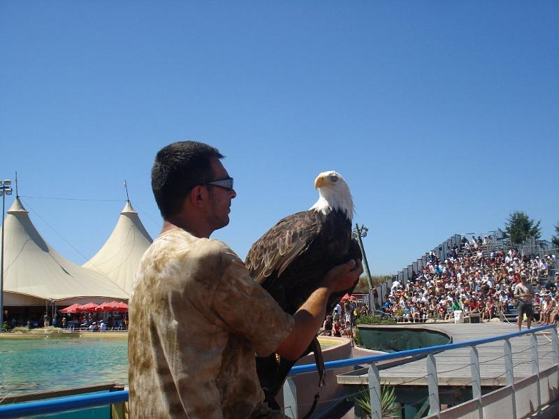 2008-08-08_Marineland(65).JPG