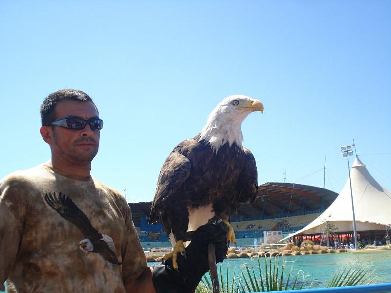 2008-08-08_Marineland(66).JPG