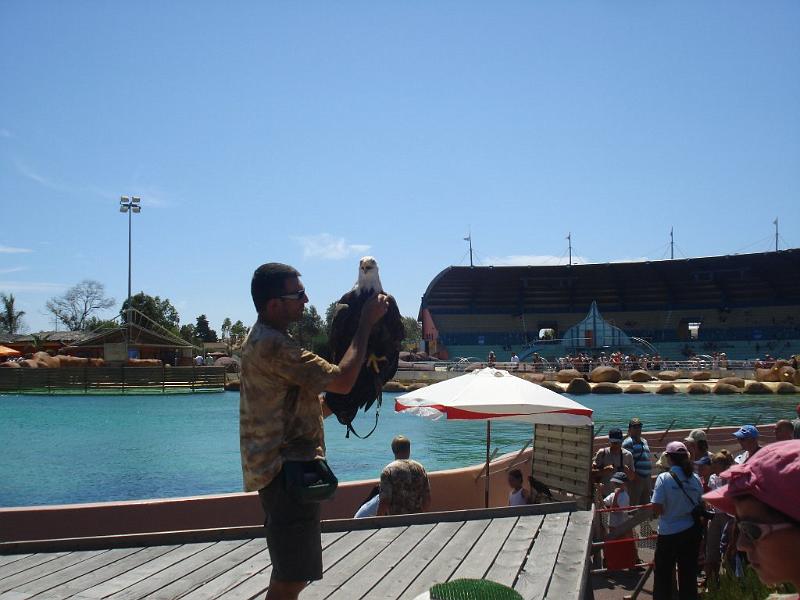 2008-08-08_Marineland(73).JPG