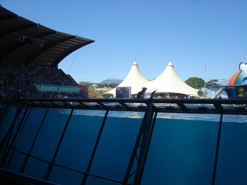 2008-08-08_Marineland(80).JPG