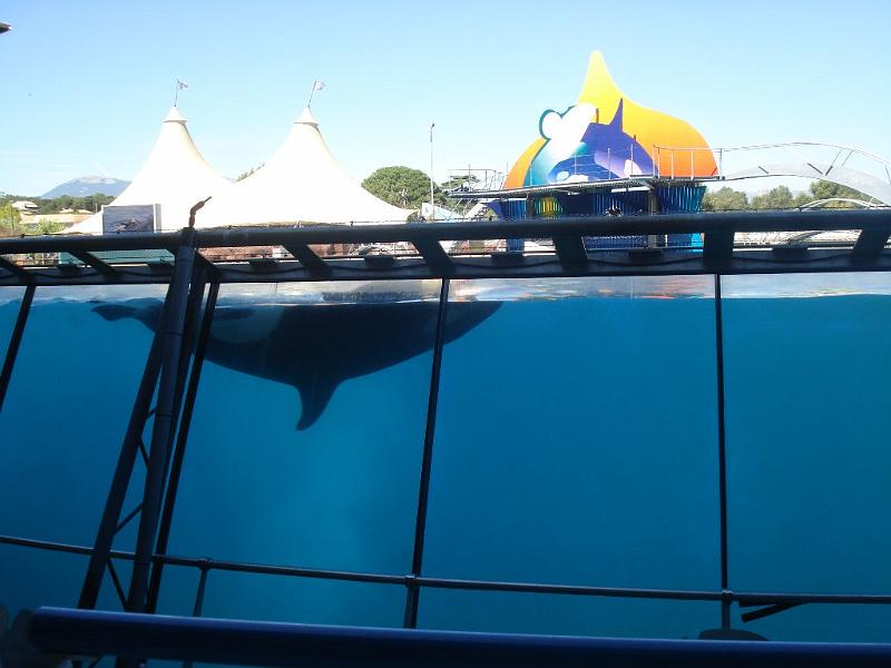 2008-08-08_Marineland(82).JPG