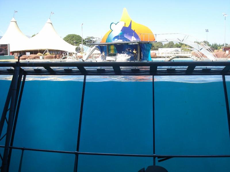 2008-08-08_Marineland(83).JPG