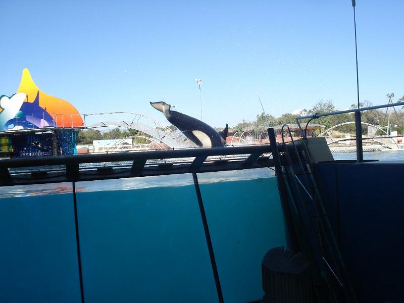 2008-08-08_Marineland(85).JPG