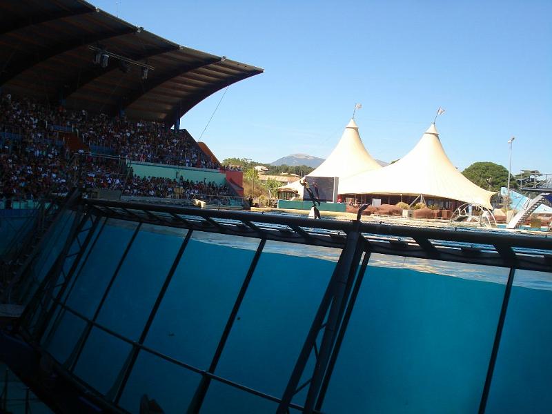 2008-08-08_Marineland(86).JPG