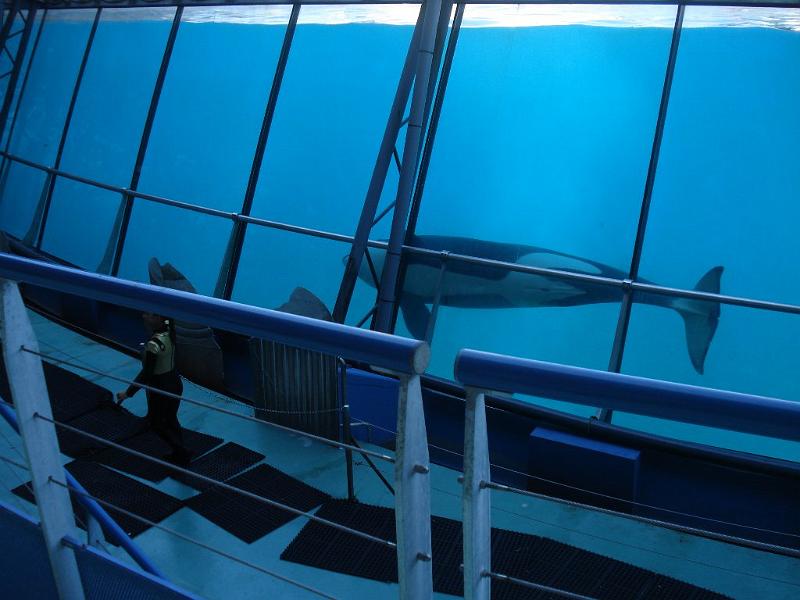 2008-08-08_Marineland(88).JPG