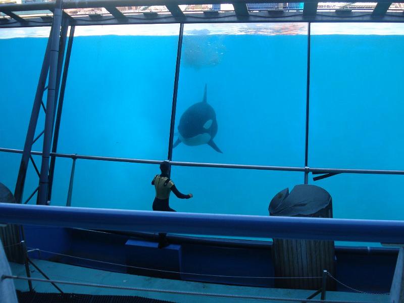 2008-08-08_Marineland(90).JPG