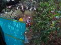 2008-08-06_la_cabane_de_PYM(5)