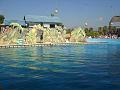2008-08-08_Marineland(17)