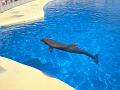 2008-08-08_Marineland(21)