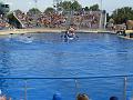 2008-08-08_Marineland(26)