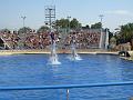 2008-08-08_Marineland(29)