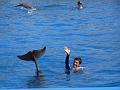 2008-08-08_Marineland(31)