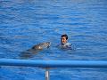 2008-08-08_Marineland(32)