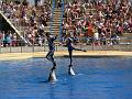 2008-08-08_Marineland(38)