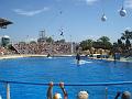 2008-08-08_Marineland(43)