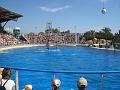 2008-08-08_Marineland(50)