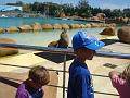 2008-08-08_Marineland(76)